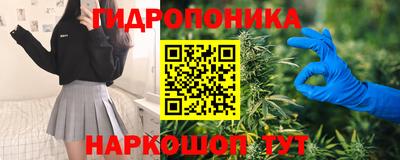 ГАЛЛЮЦИНОГЕННЫЕ ГРИБЫ Северобайкальск