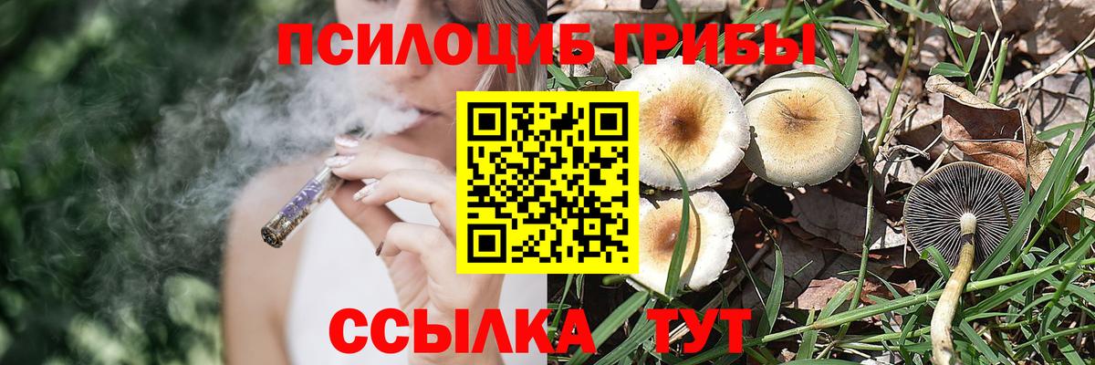 Псилоцибиновые грибы Cubensis  Вход с VPN  Октябрьский 