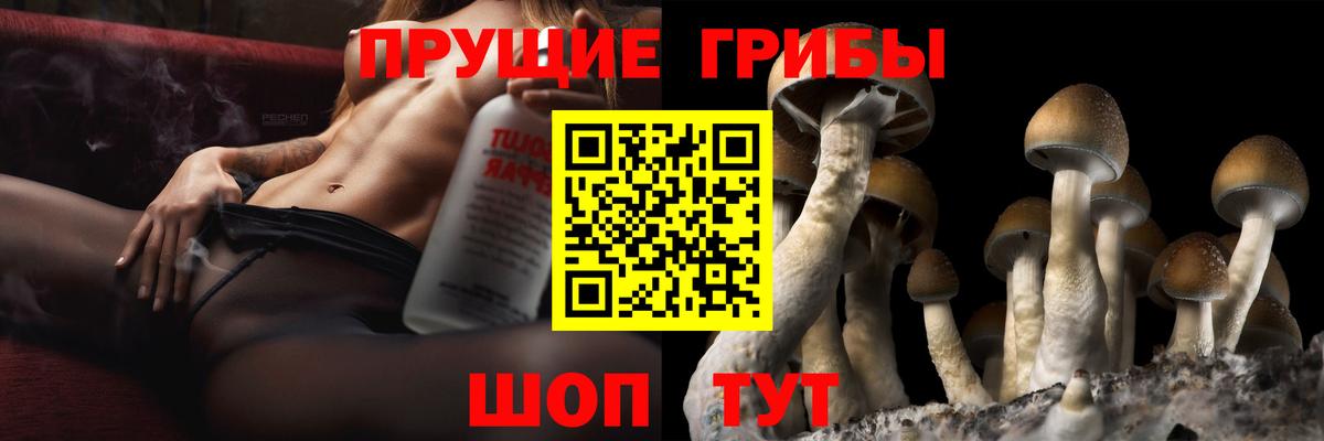 Псилоцибиновые грибы Cubensis Октябрьский